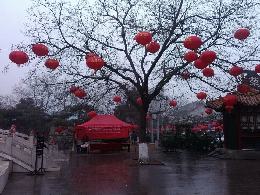 第一幅照片：石家庄正定古城荣国府花园喜迎猴年春节！