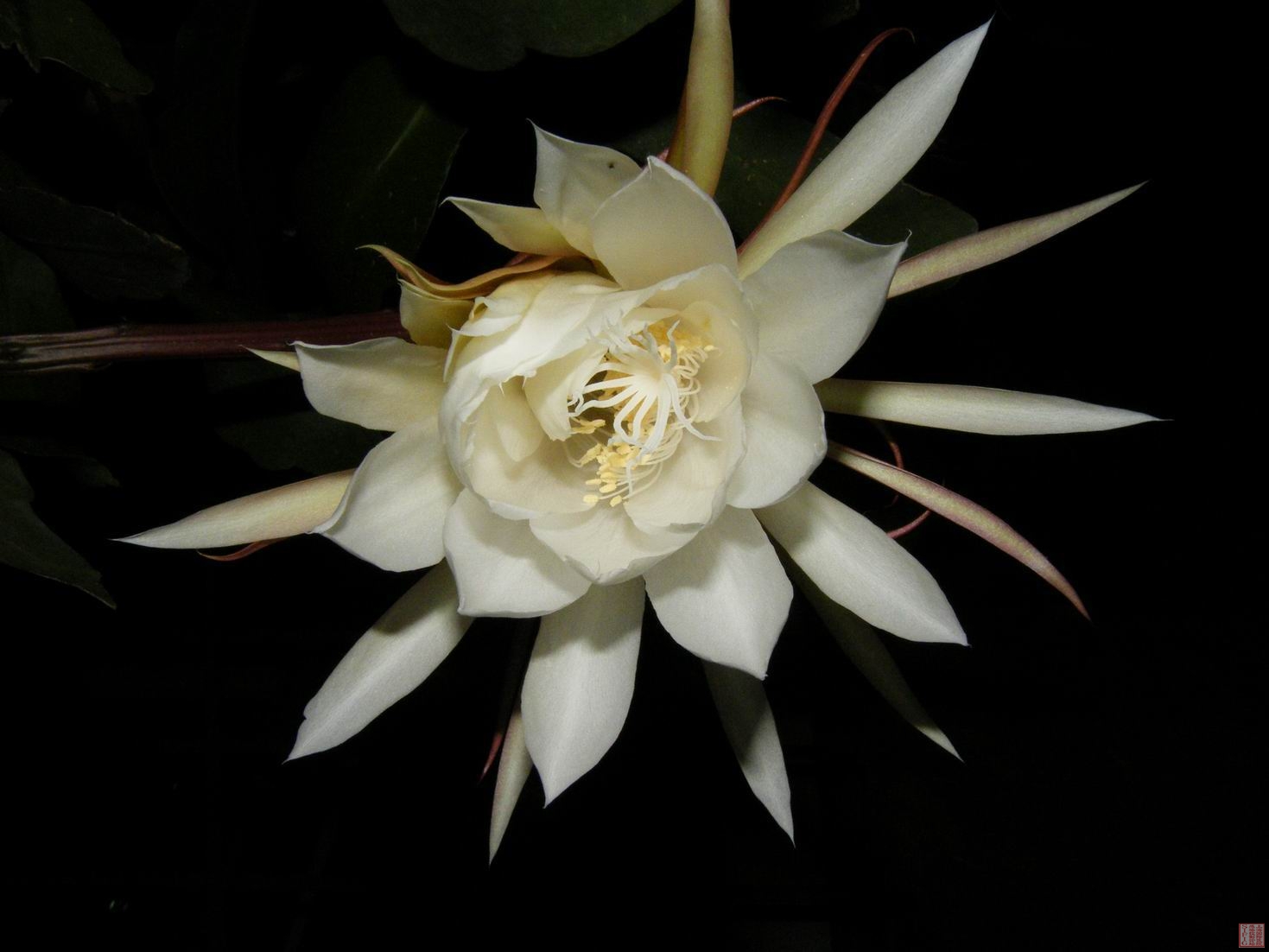 调整大小 DSCF0070.jpg