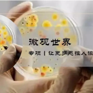 检验报告丨流感嗜血杆菌的流行病学特征与临床治疗！